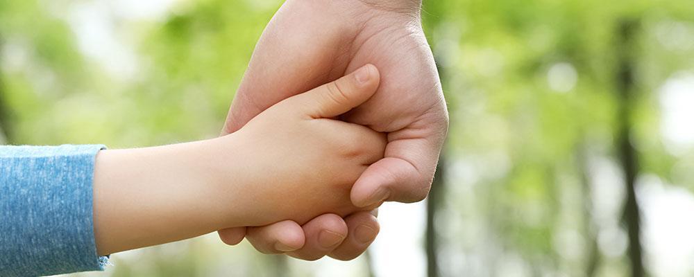 Bolingbrook family law attorney for child support