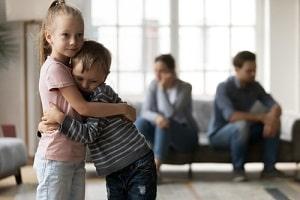 DuPage County divorce attorney parenting plan